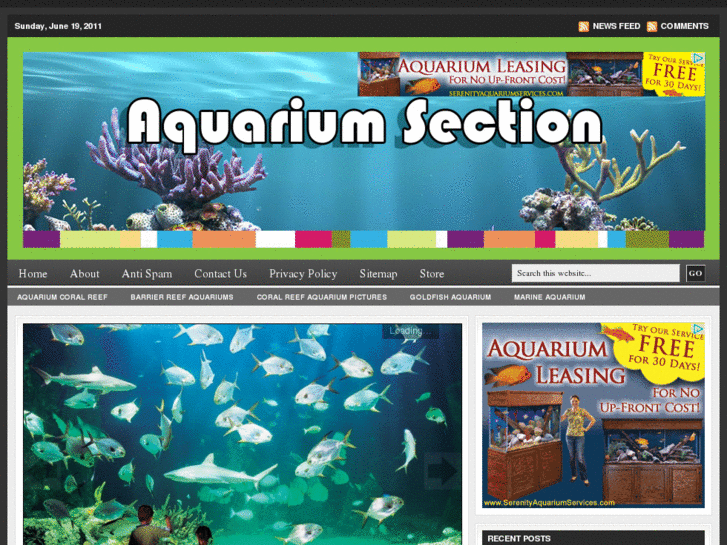 www.aquariumsection.com