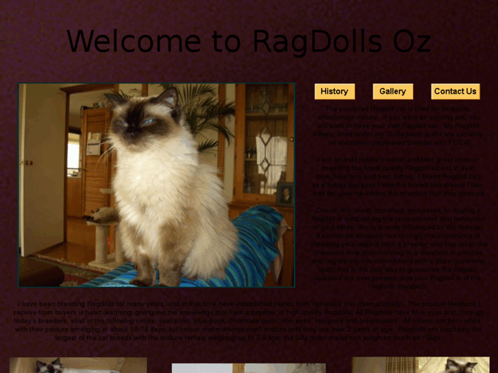 www.ragdollsoz.com