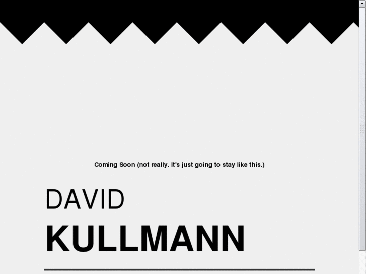 www.davidkullmann.com