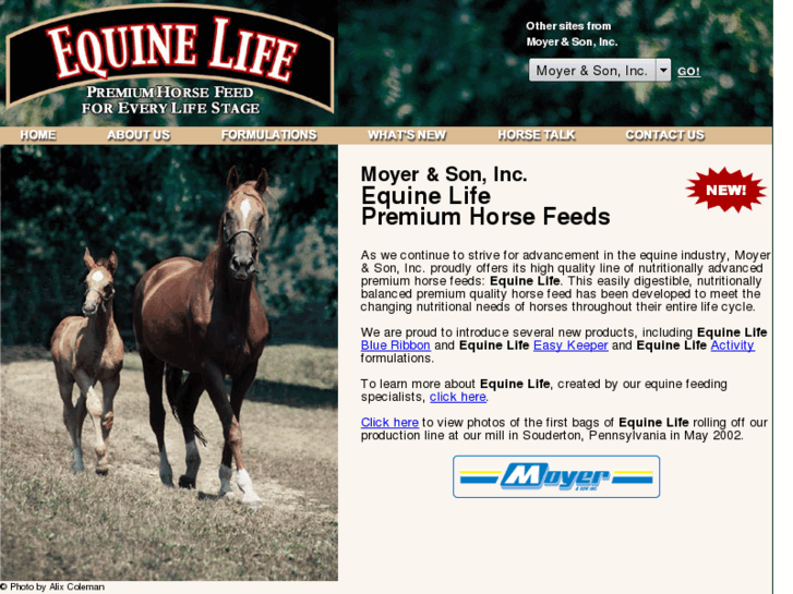 www.equinelife.com