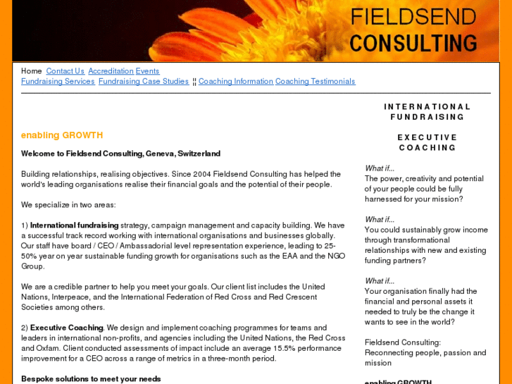 www.fieldsend-consulting.org