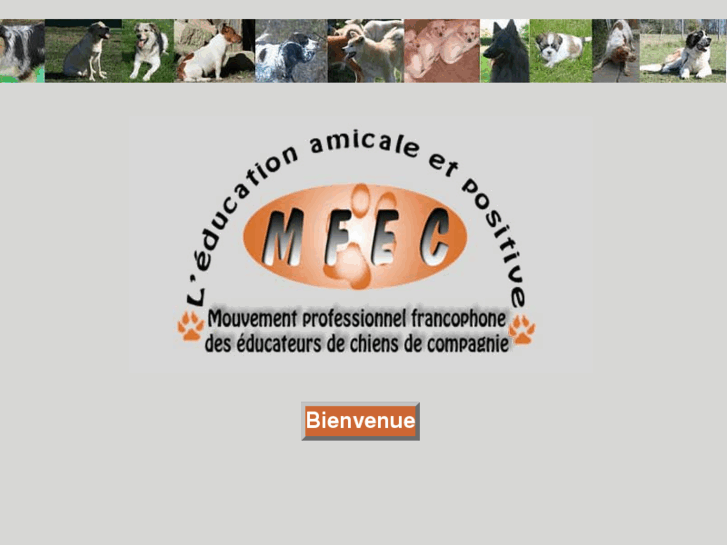 www.mfec.fr