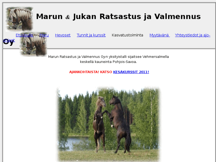 www.ratsastusjavalmennus.com