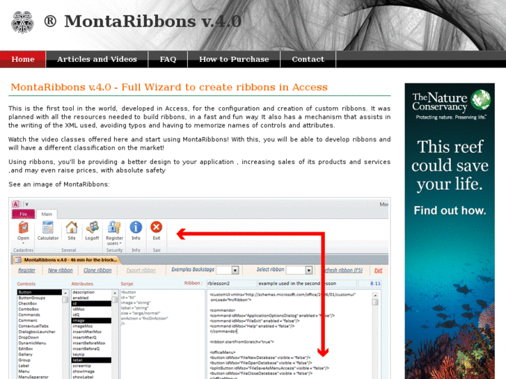 www.ribbon01.com