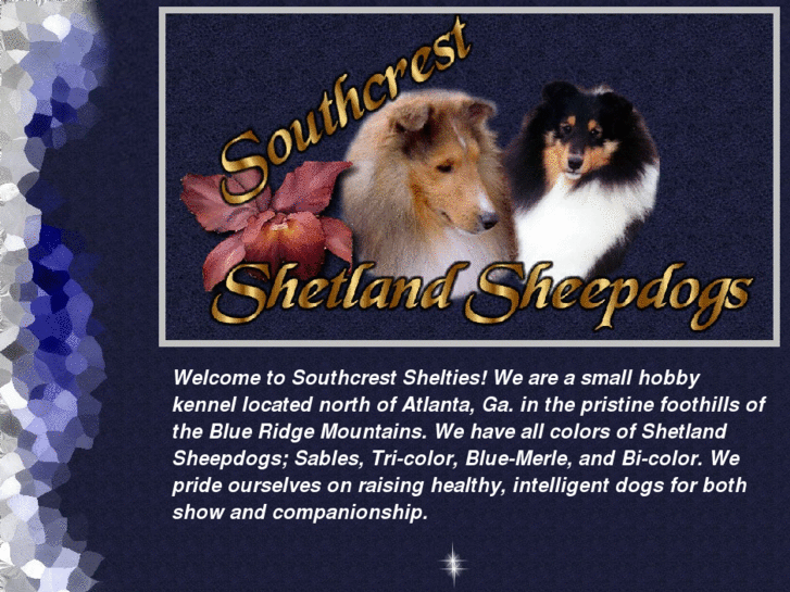 www.southcrestshelties.com