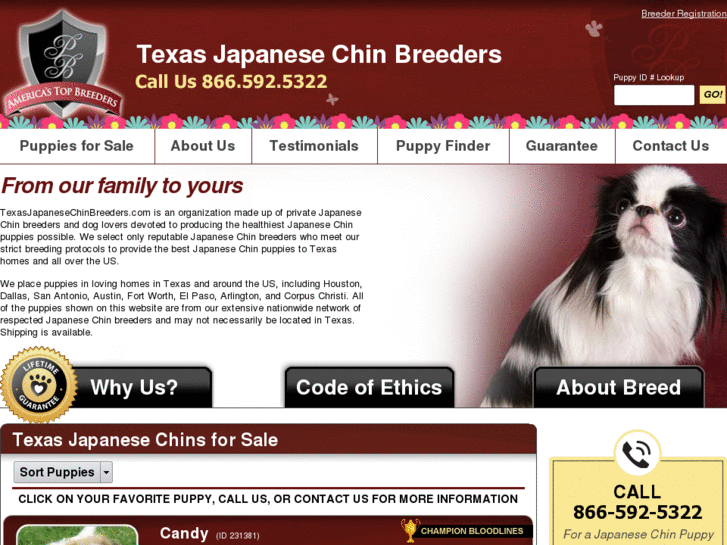 www.texasjapanesechinbreeders.com