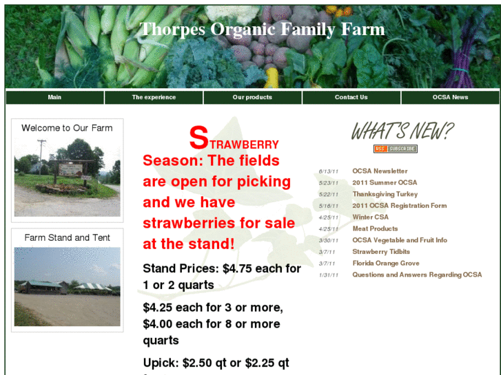 www.thorpesorganicfamilyfarm.com