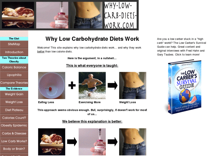 www.why-low-carb-diets-work.com