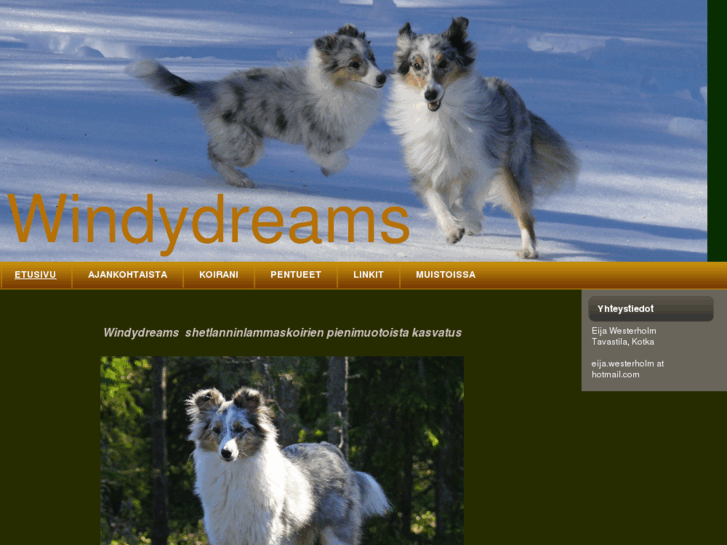 www.windydreams.net