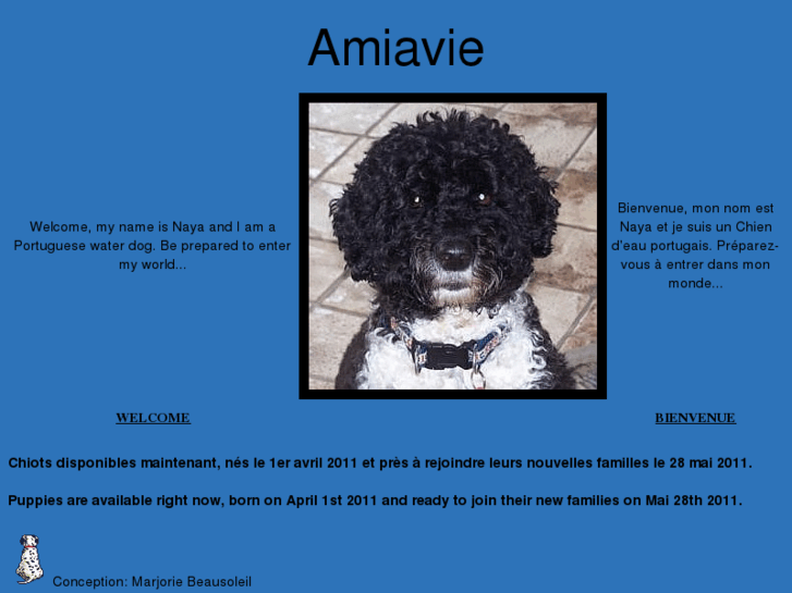 www.amiavie.ca