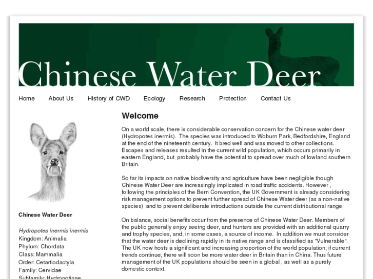 www.chinesewaterdeer.com