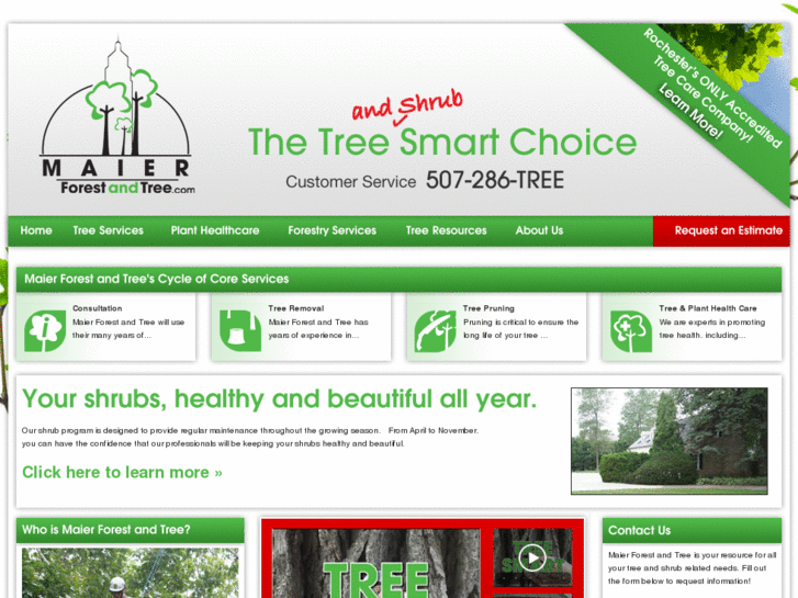 www.forestandtree.com