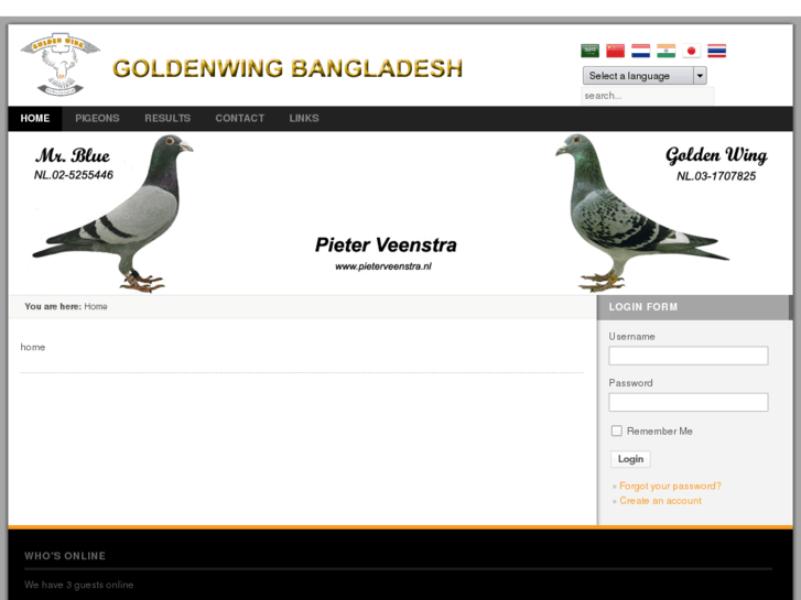 www.goldenwingbd.com