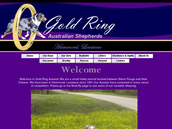 www.goldringkennel.com