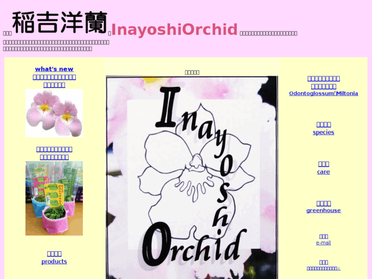 www.inayoshi-orchid.com