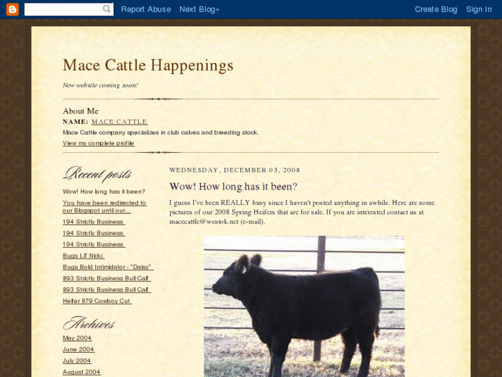 www.macecattle.com