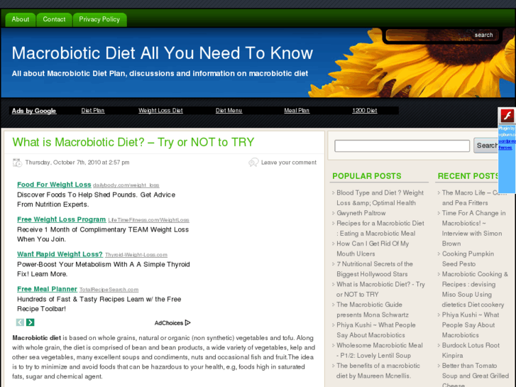 www.macrobioticdietplan.net