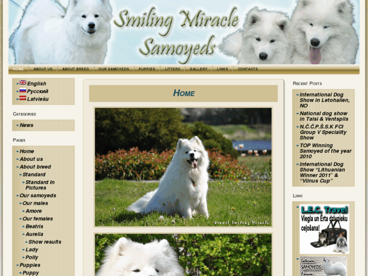 www.samoyeds.lv