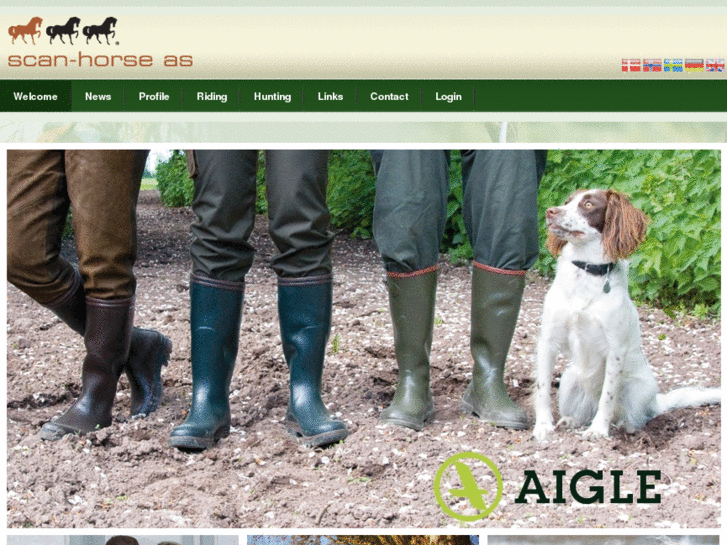 www.scan-horse.com