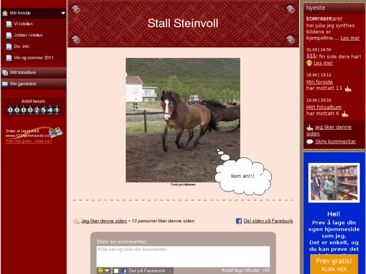 www.stallsteinvoll.com