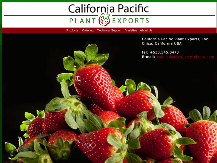 www.strawberry-plants.com