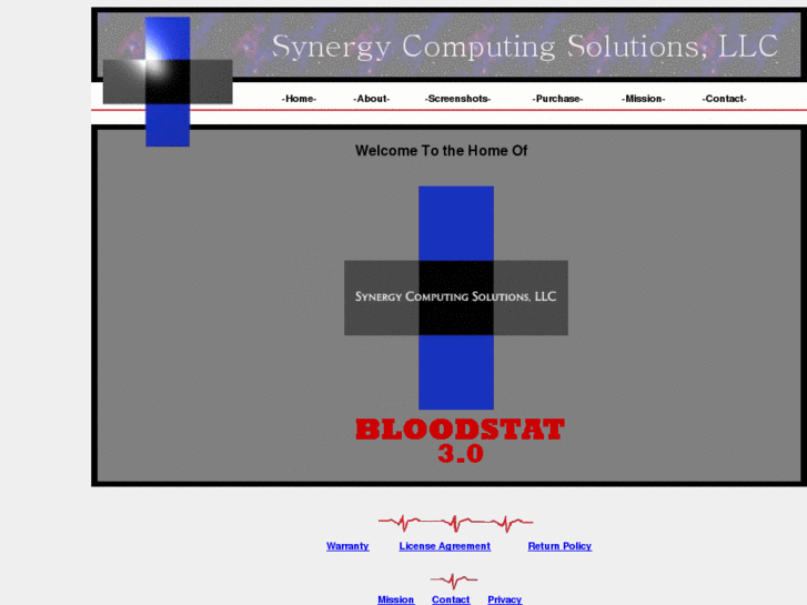 www.synergycomputingsolutions.com
