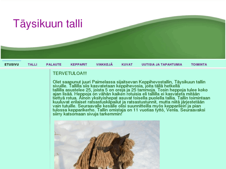 www.taysikuuntalli.com