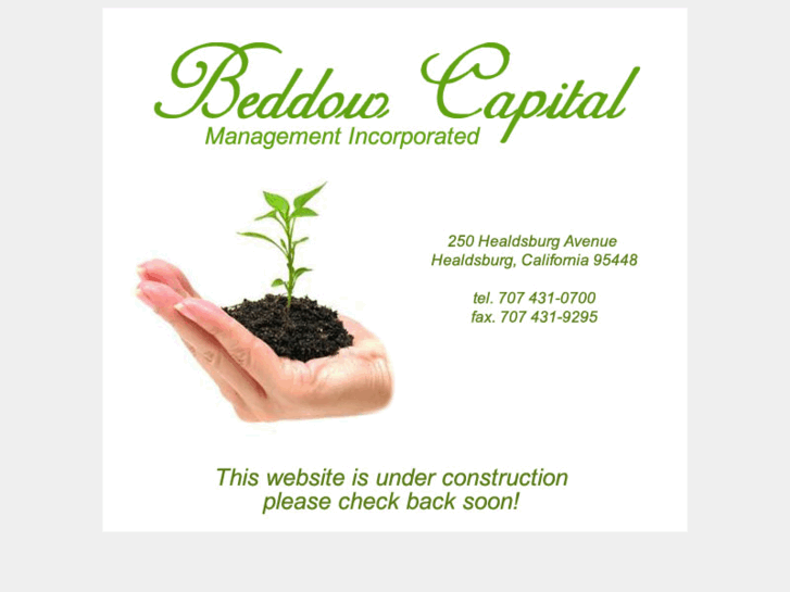 www.beddowcapital.com