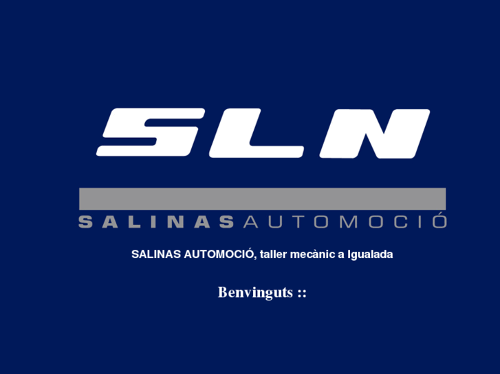 www.salinasautomocio.com