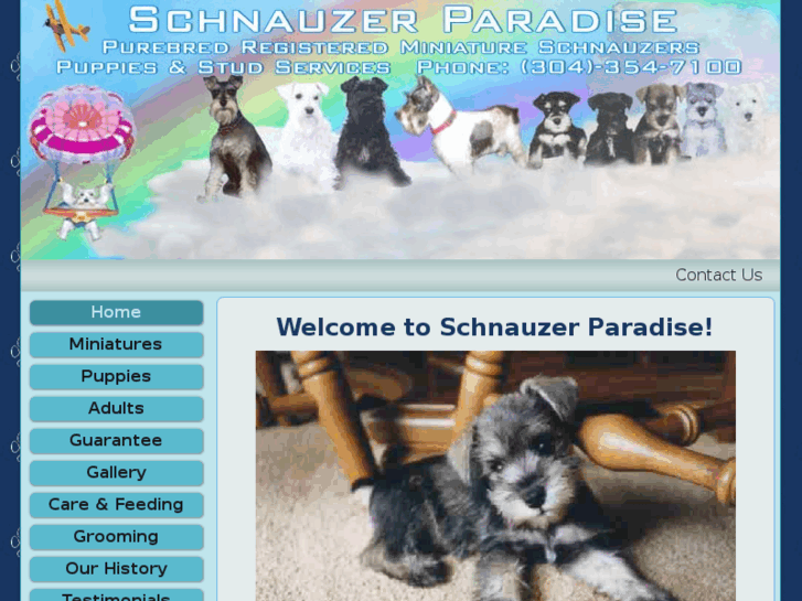 www.schnauzerparadise.com