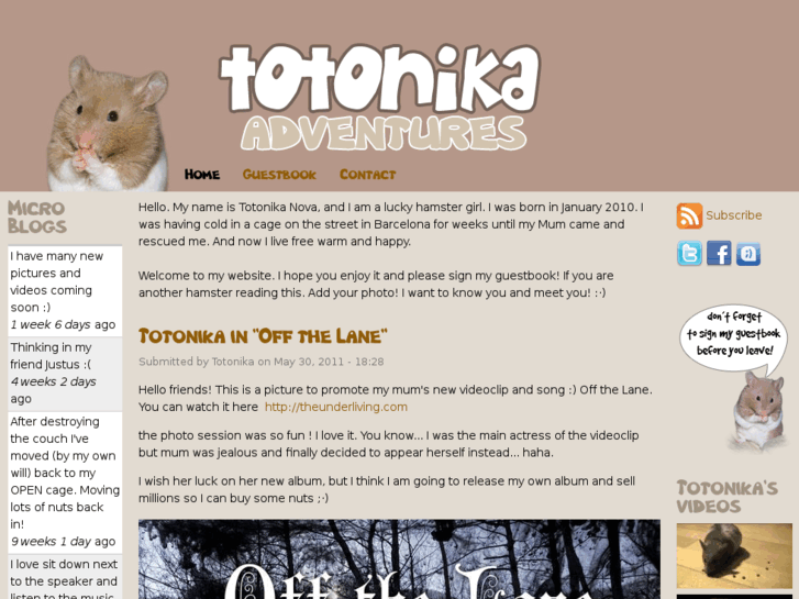 www.totonika.com