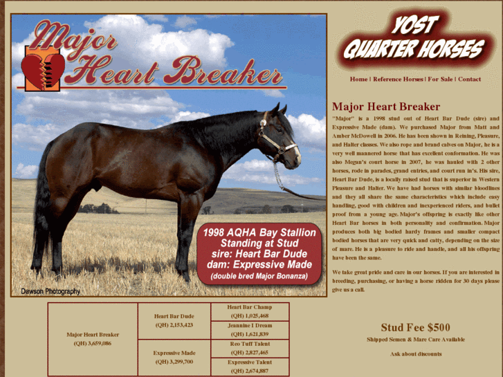 www.yostquarterhorses.com