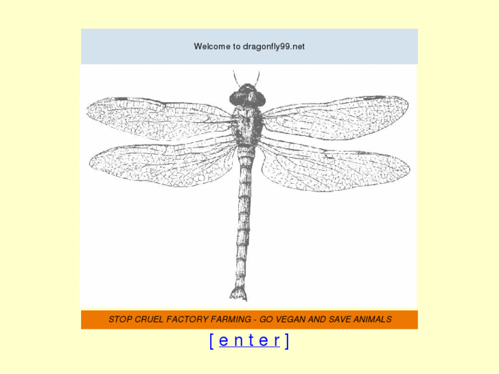 www.dragonfly99.net