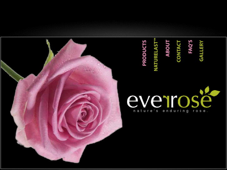 www.everrose.com