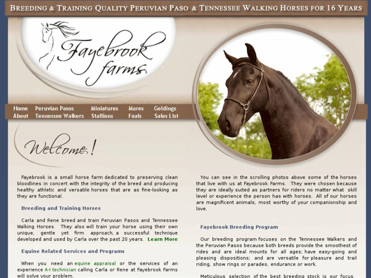 www.fayebrookfarms.com