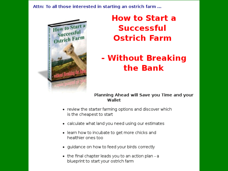 www.howtostartanostrichfarm.com