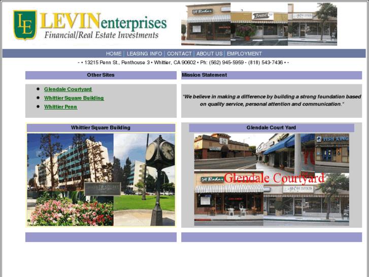 www.levinenterprisesbiz.com