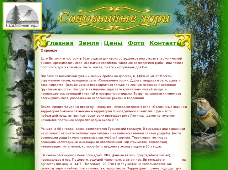 www.solovyinye-zori.ru