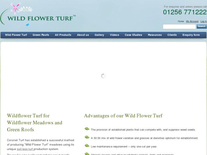 www.wildflowerturf.co.uk