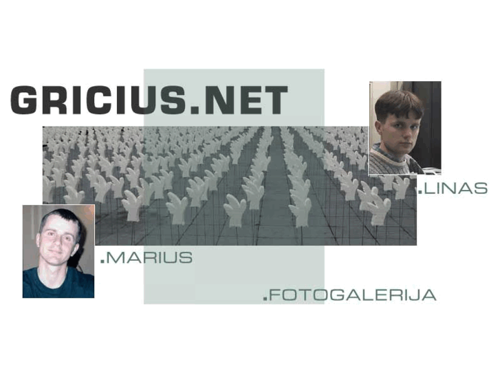 www.gricius.lt