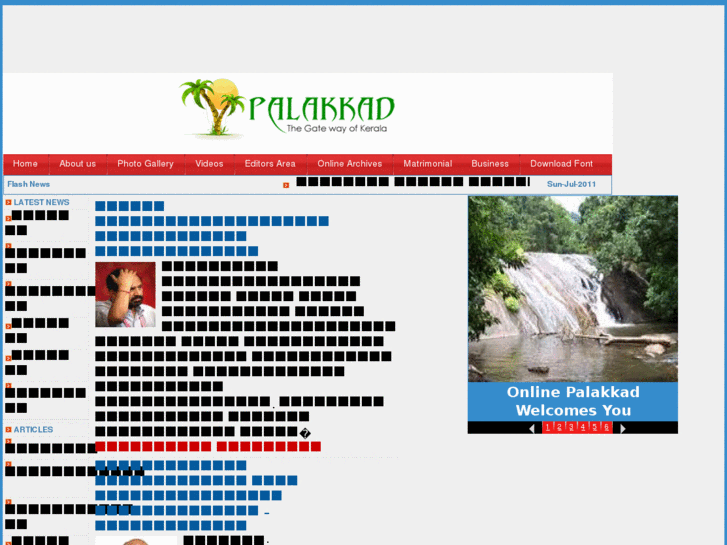 www.onlinepalakkad.com