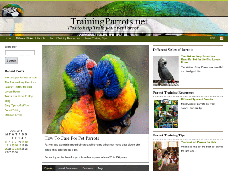 www.trainingparrots.net