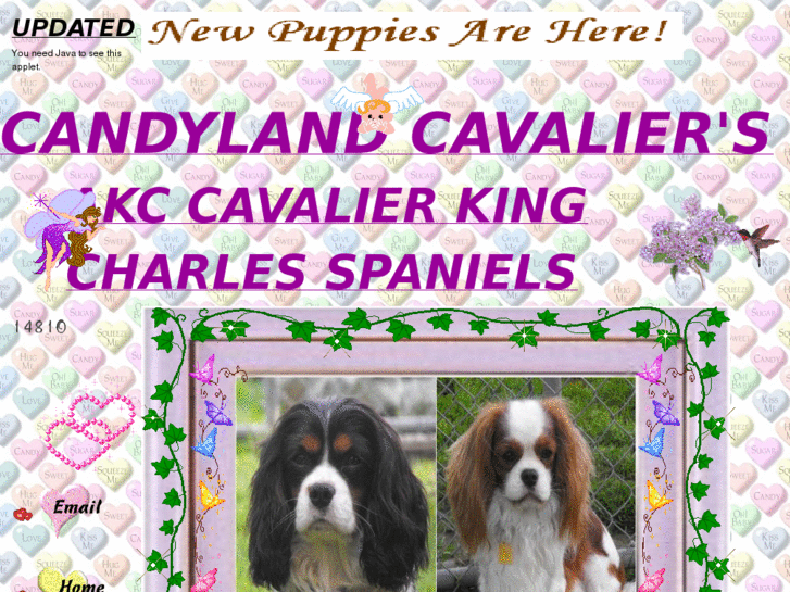 www.candylandcavaliers.com