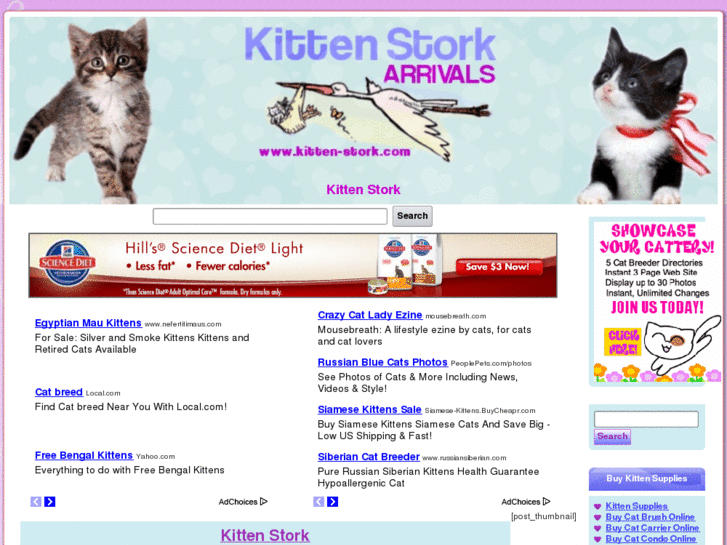 www.kitten-stork.com