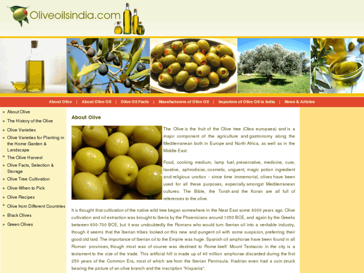 www.oliveoilsindia.com