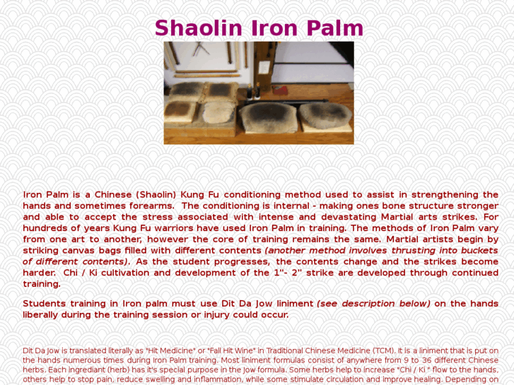 www.shaolinironpalm.com