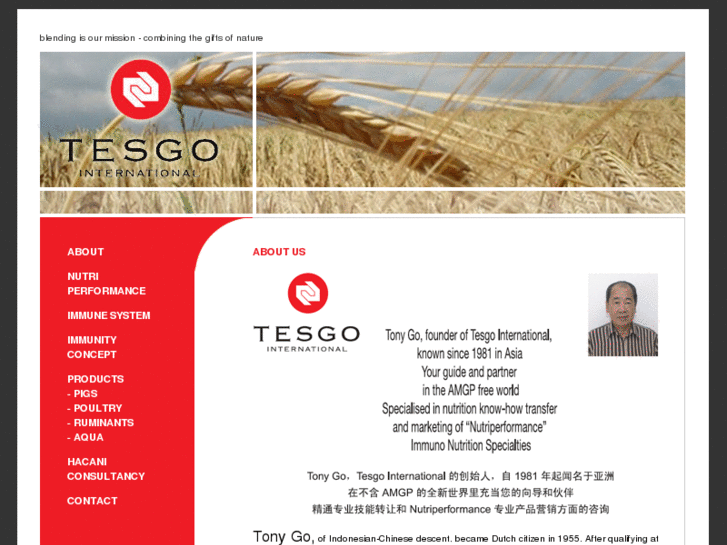 www.tesgo-int.com