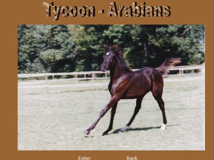 www.tycoon-arabians.com