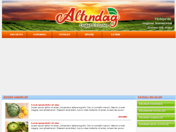 www.altindaggida.com