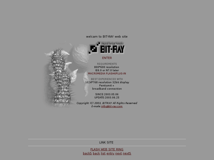 www.bit-ray.com